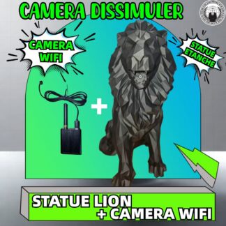 Statue Lion Caméra Wifi 4k Miniature  vision En Direct Par App Micro Intégré