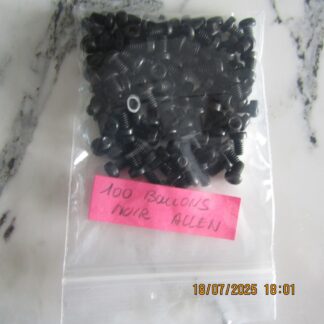 Meccano 100 vis noires tête allen