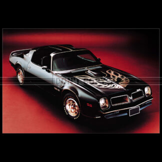 Photo A.007778 PONTIAC FIREBIRD TRANS AM L78 400 50TH ANNIVERSARY 1976