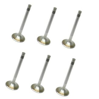 Porsche 911 914-6 Intake Valve (42 mm) SET 90110540700 SM ENGINE PARTS