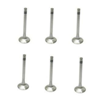 Porsche 911  914-6 (67-72) 38 mm Exhaust Valve (Set of 6) SM ENGINE PARTS