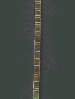 Bracelet Omega Plaqué Or 14KT 6MM 8"