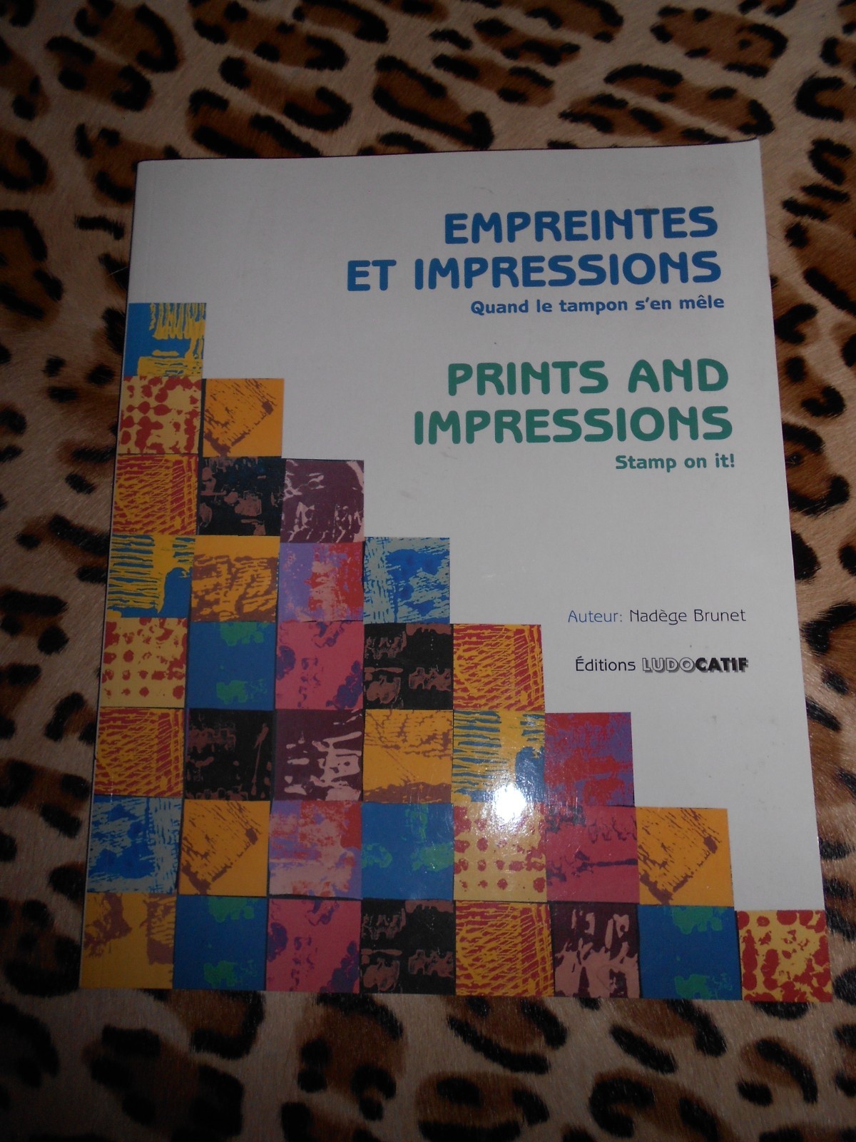 BRUNET Nadège Empreintes et impressions / Prints and impressions Ludocatif 1999