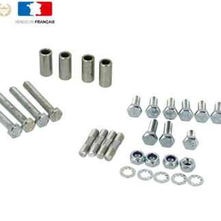 Pack Vis de Carter Moteur ( Set 30 pcs)  Pour SOlex 2200 3800 5000
