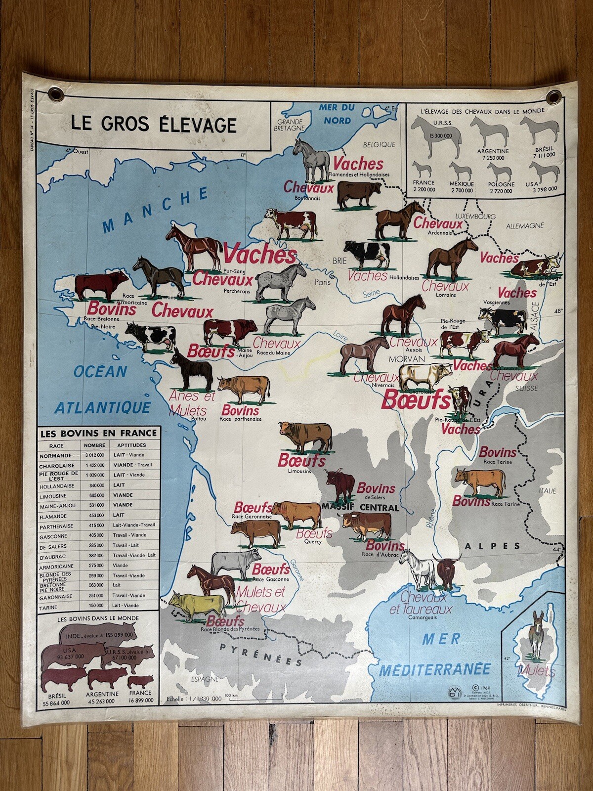 Affiche scolaire plastifiée R/V - Le Gros Élevage / Le Rhône et ses Affluents