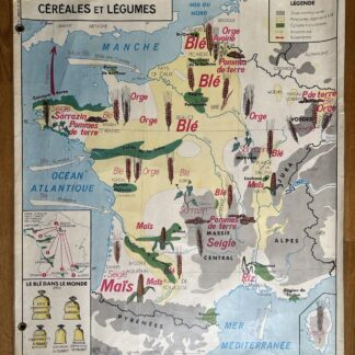 Affiche scolaire plastifiée R/V - Céréales et Légumes/ La Seine et ses Affluents