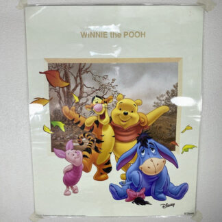 Winnie The Pooh Winnie l'Ourson Poster Affiche 50x40 cm Plastifiée 4 Personnages