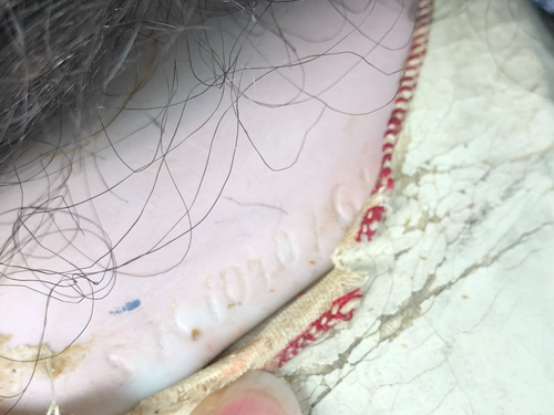 Antique Simon Halbig SH 1070 22" Leather Body Doll – Image 13